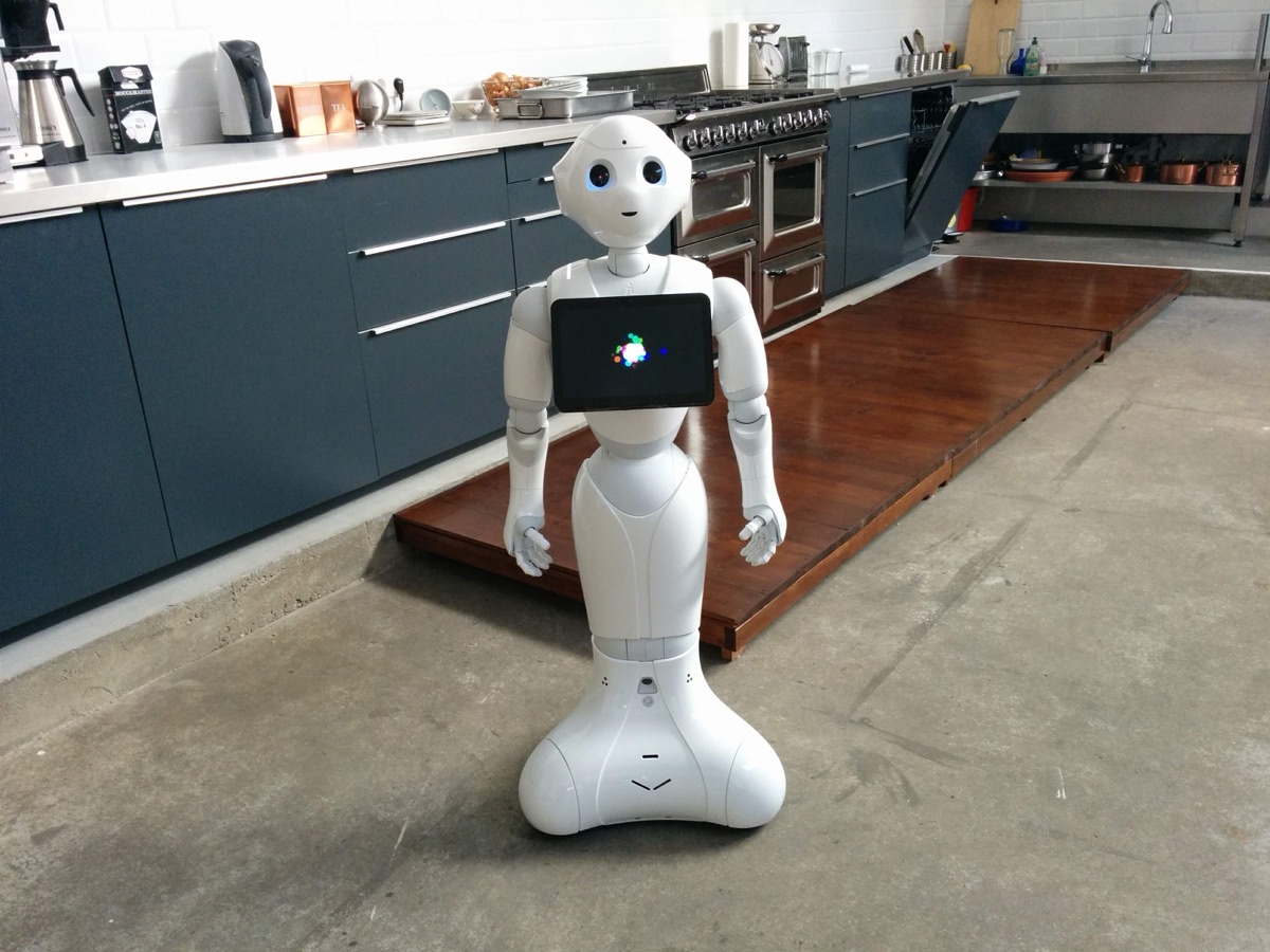 Pepper, ready for duty